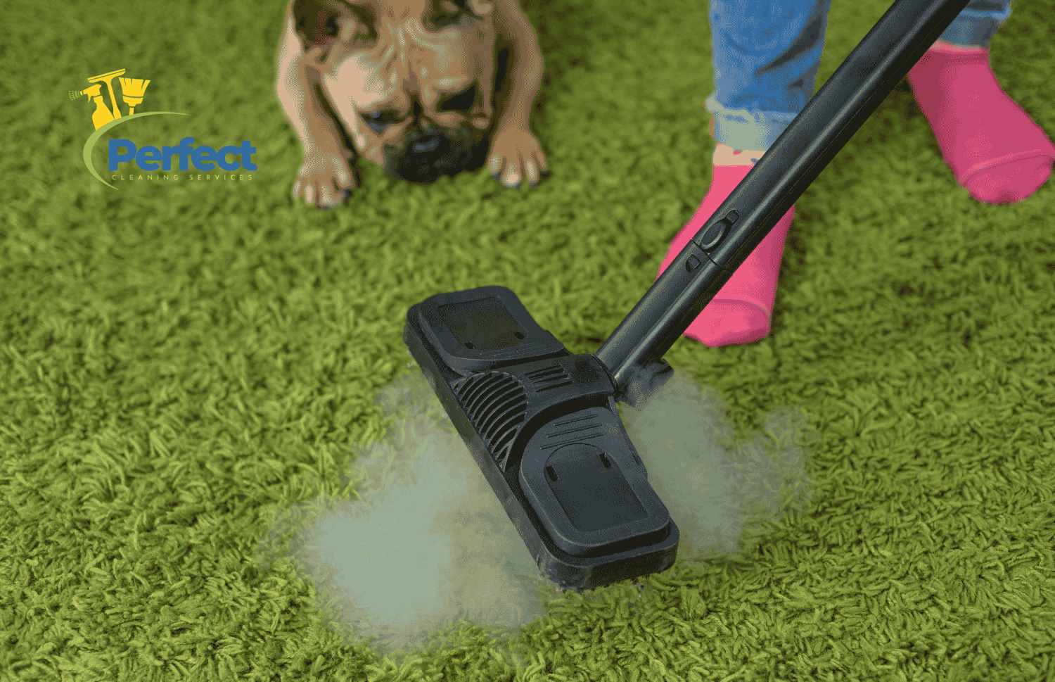 A Comprehensive Guide to Best Carpet Cleaner Solution for Pets