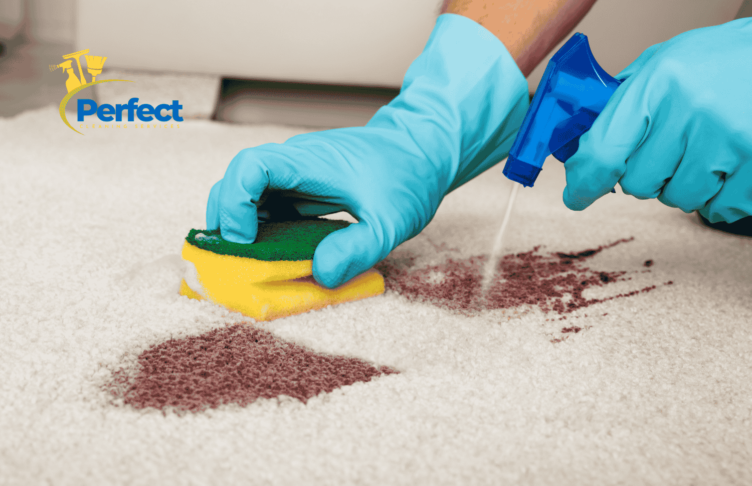 Ultimate Guide to UK's Best Carpet Spot Remover